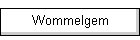 Wommelgem